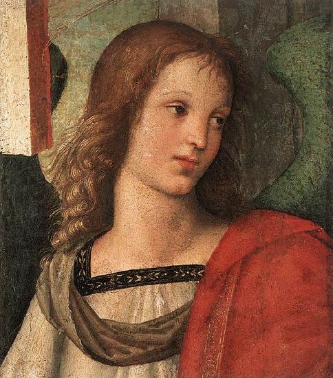 RAFFAELLO Sanzio Angel fragment of the Baronci Altarpiece oil painting image